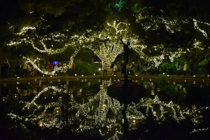 Visit the 9 Best Christmas Displays in South Carolina