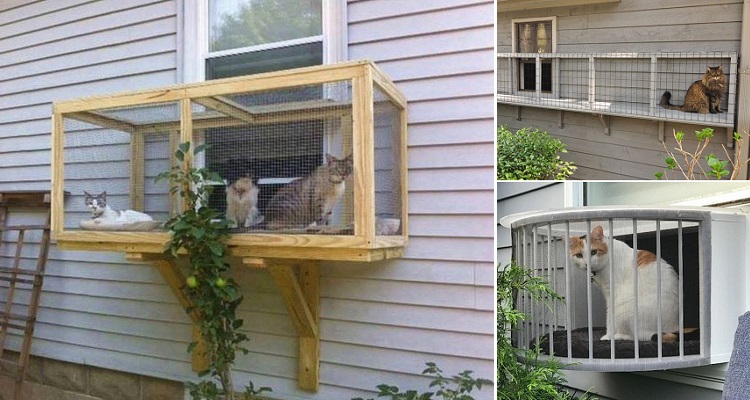 Cat Porches- Keep Your Cat Safe and Everything Safe From Your Cat!