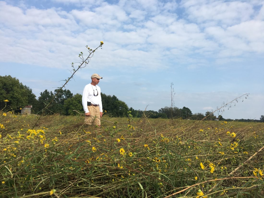 Florence Delivers Staggering Blow to Wild Seed Farm