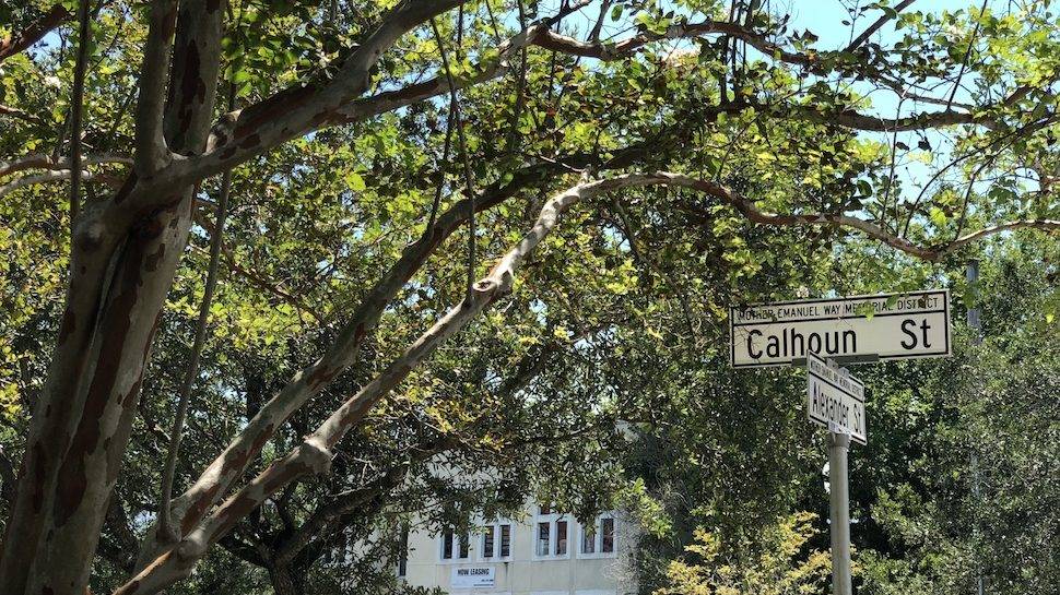 The History Behind Several Charleston, SC  Street Names