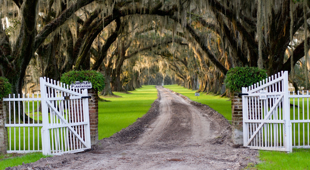 An Iconic Lowcountry Plantation Is Up For Sale